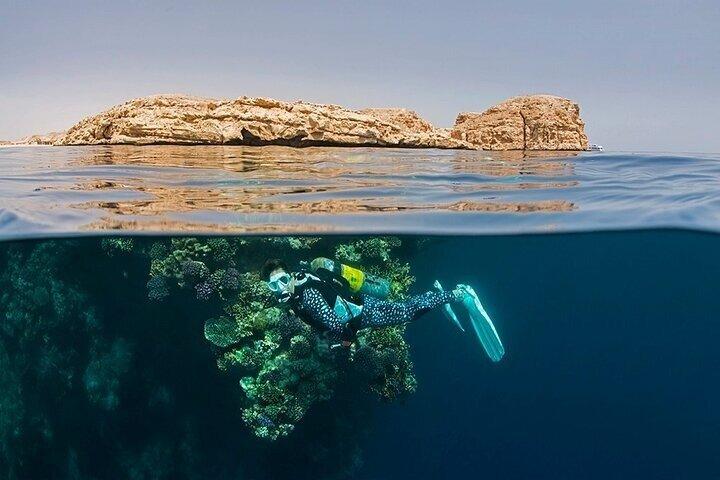 Explora el Parque Nacional Ras Muhammed desde Sharm El Sheikh Bus Tour