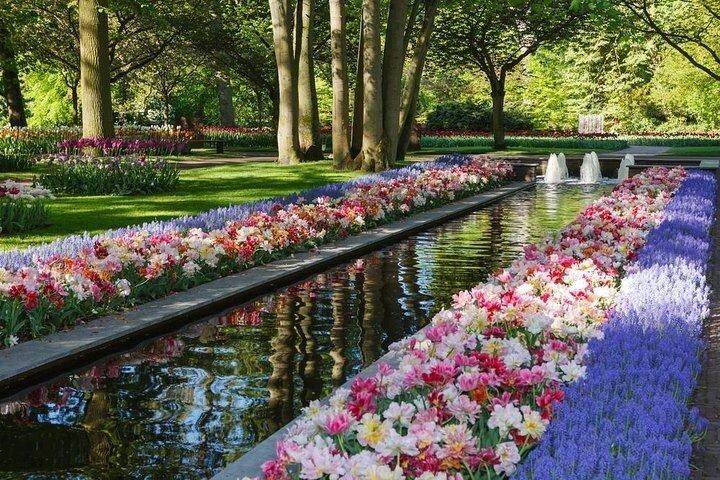 Excursion privée aux jardins de Keukenhof