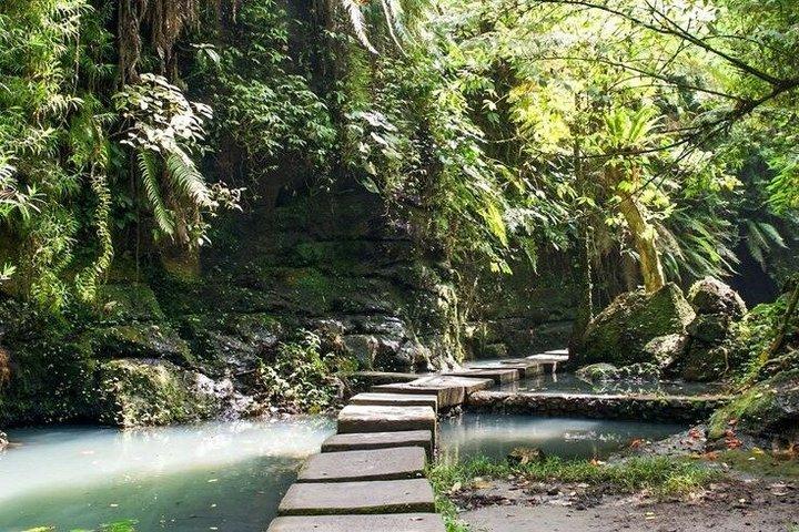 Det bedste ved Ubud: Monkey Forest, Hidden Waterfall & Temple