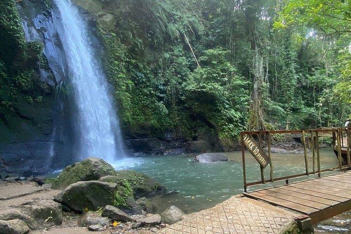 Det bedste ved Ubud: Monkey Forest, Hidden Waterfall & Temple