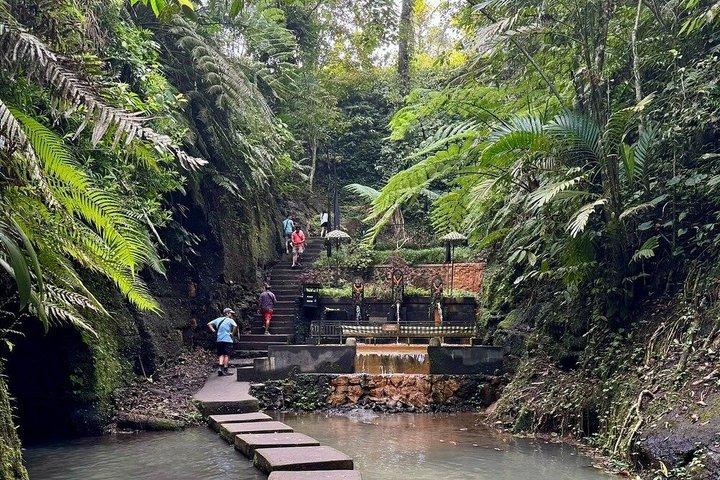 Det bedste ved Ubud: Monkey Forest, Hidden Waterfall & Temple