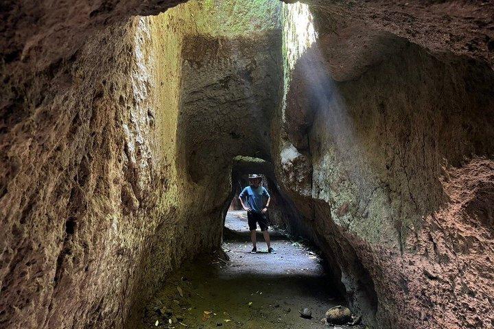 Det bedste ved Ubud: Monkey Forest, Hidden Waterfall & Temple
