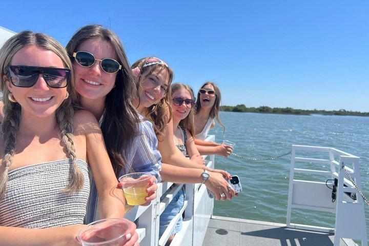 Cruzeiro de golfinhos de Brunch e Bottlenose em St Augustine