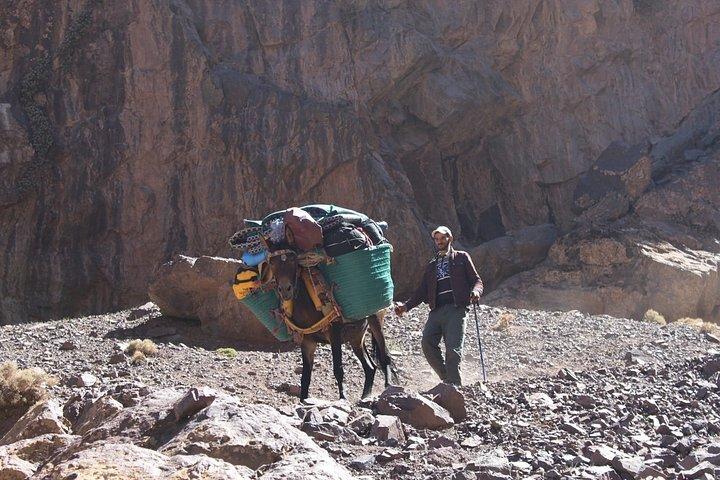 4 - Dia Atlas Mountains Trek e experiência Amazigh