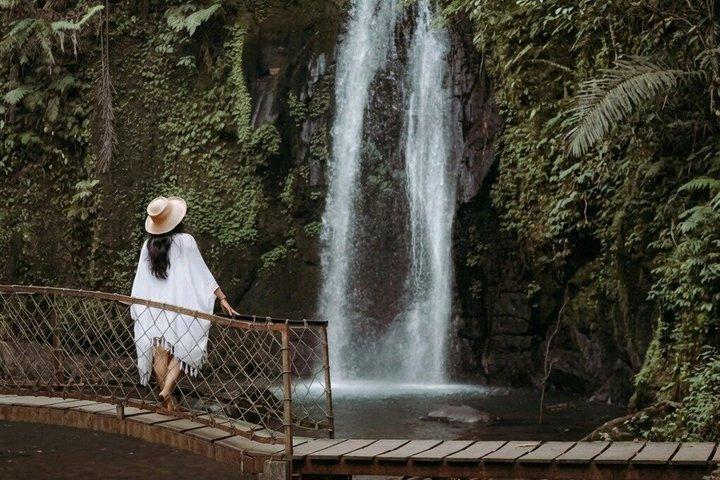 Best of Ubud Day Tour: Monkey Forest, Hidden Waterfall e Templo
