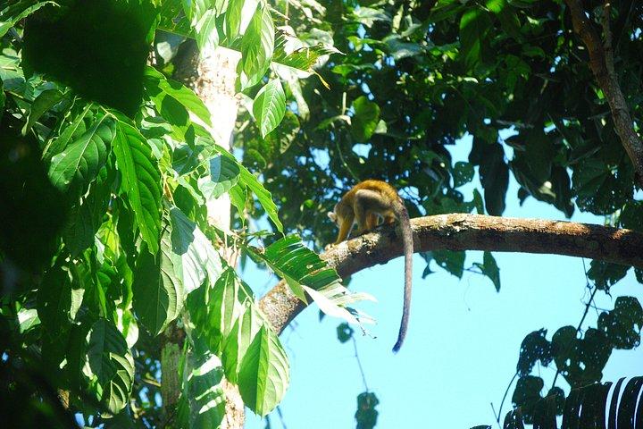 2 Day Manu National Park Adventure Experience