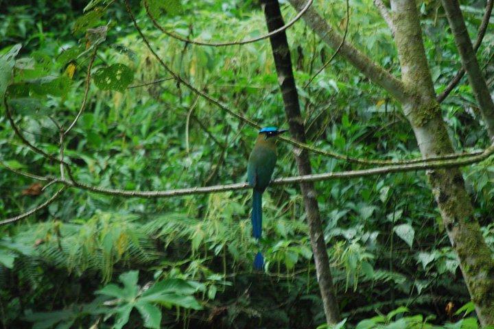 2 Day Manu National Park Adventure Experience