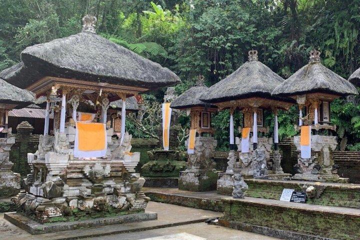 Det bedste ved Ubud: Monkey Forest, Hidden Waterfall & Temple