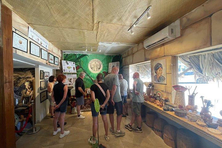 Monkeys and sloths, private tour , and beach