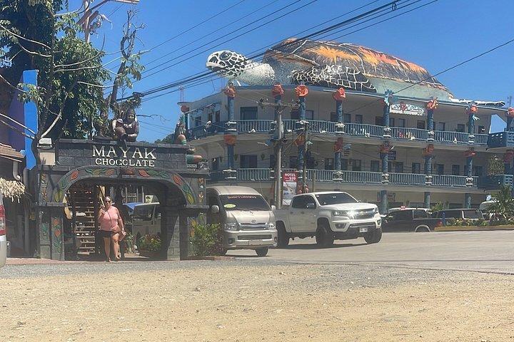 Monkeys and sloths, private tour , and beach
