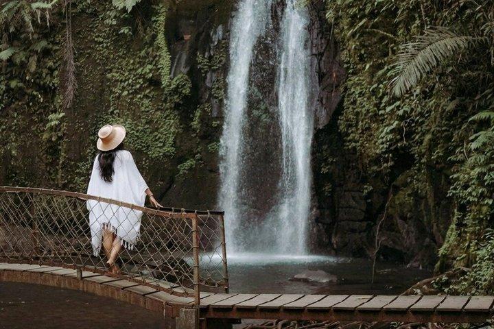 Ubud Bali halvdagstur