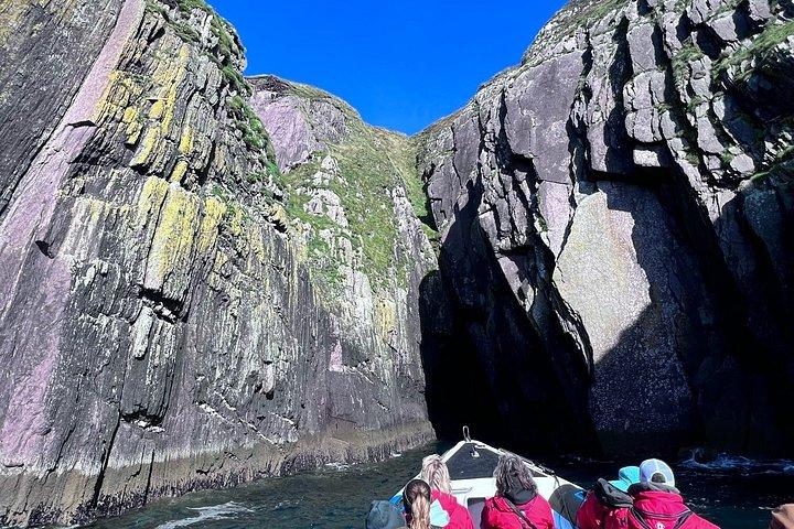 Dingle Boat Tours RIB Adventure Private