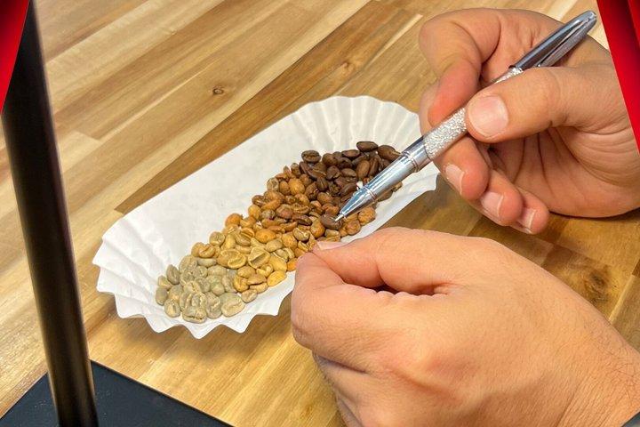 Behind The Scenes Of The Coffee Roasting Process 101