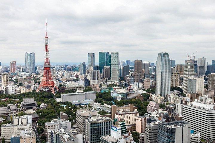 Tokyo Private Tour with English Speaking Guide
