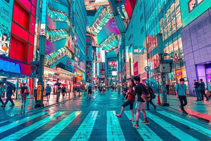 Tokyo Private Tour with English Speaking Guide
