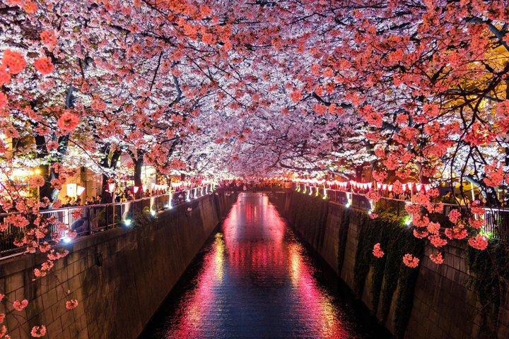 Tokyo Private Tour with English Speaking Guide