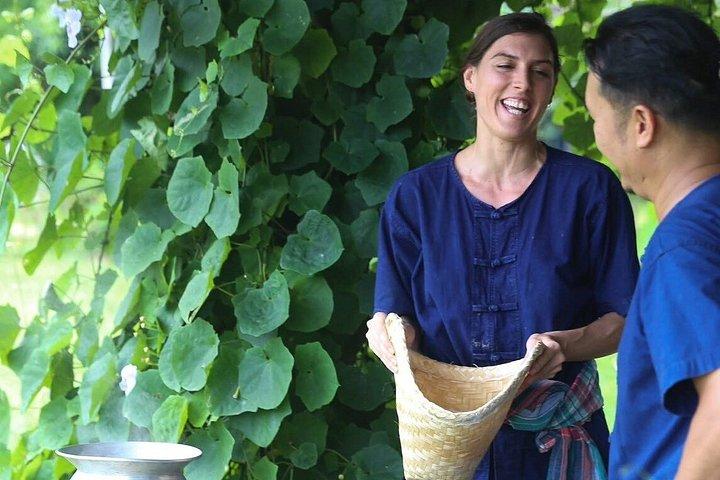 チェンマイ農場から食卓へ 北タイ料理教室