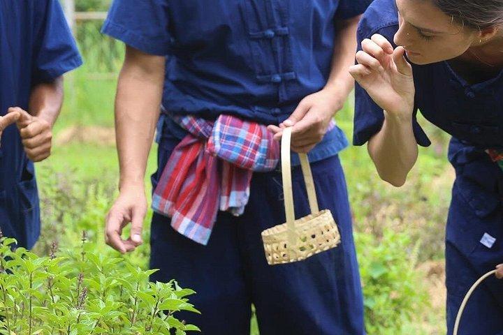 チェンマイ農場から食卓へ 北タイ料理教室
