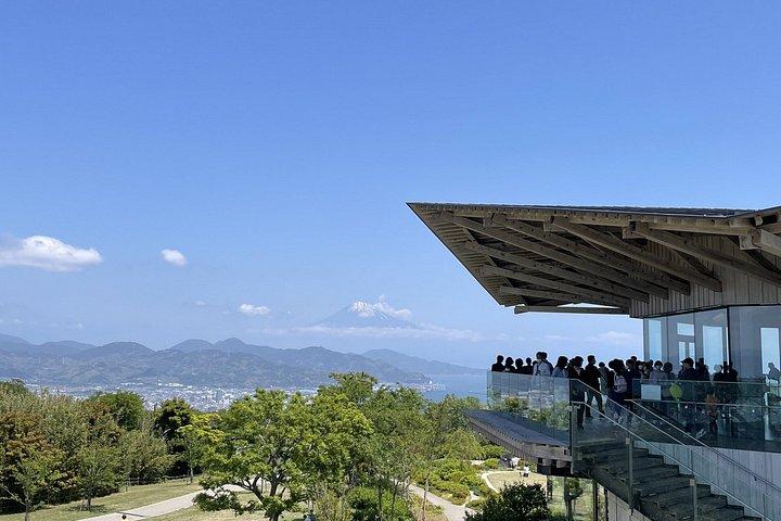 Shimizu Private Landausflug Mt Fuji Ansicht