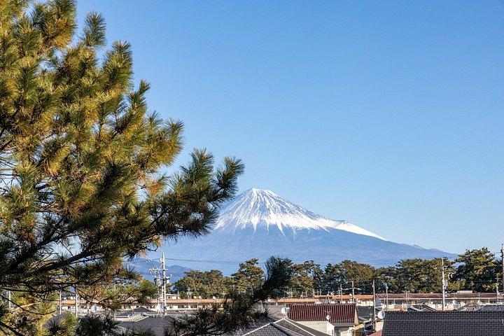 Shimizu Private Landausflug Mt Fuji Ansicht
