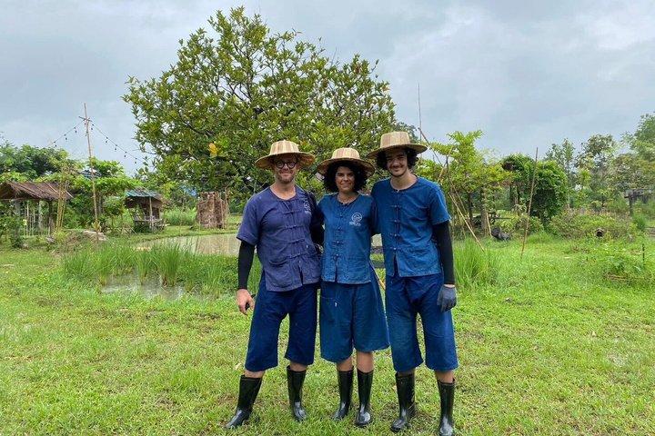 Northern Thai Cooking Class and Farm Tour in Chiang Mai