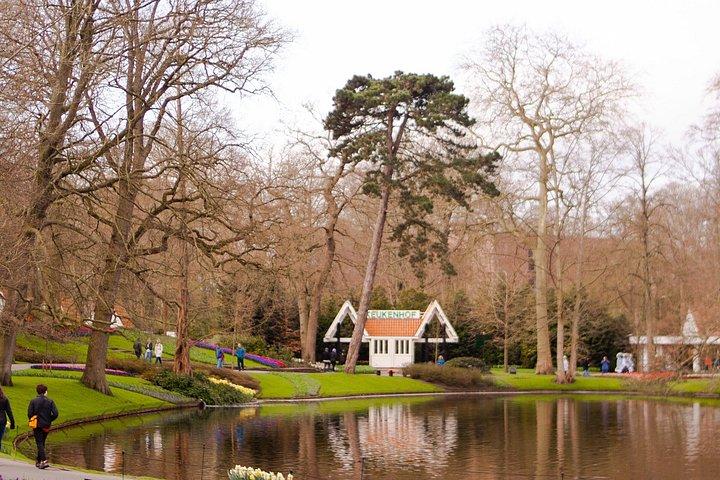 Private Excursion to Keukenhof gardens