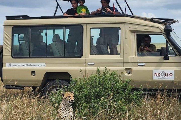 5 - Día Tarangire, Serengeti 2Noches, Ngorongoro y Manyara Gama media