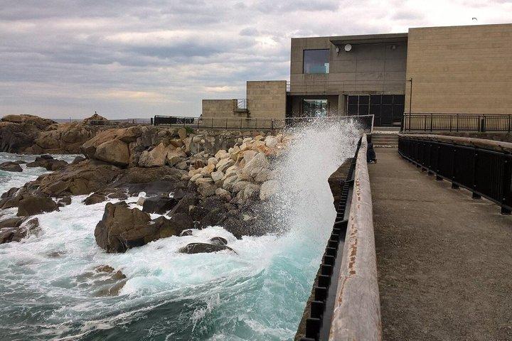 Tour en grupo familiar por La Coruña