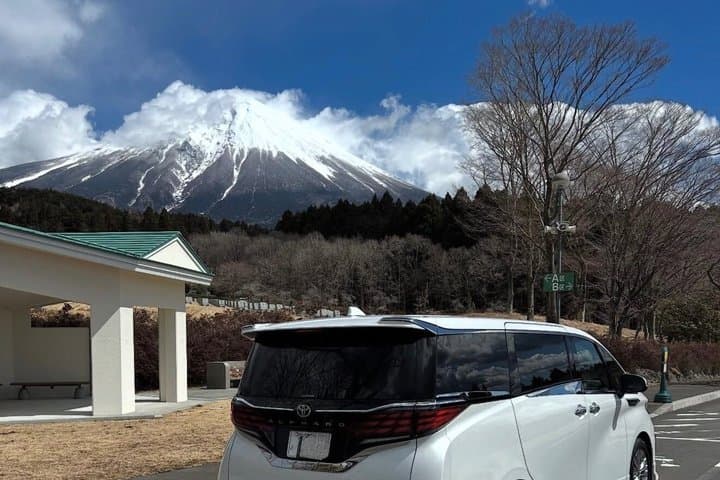 Mt. Fuji & Hakone Private Day Tour with English-Speaking Driver