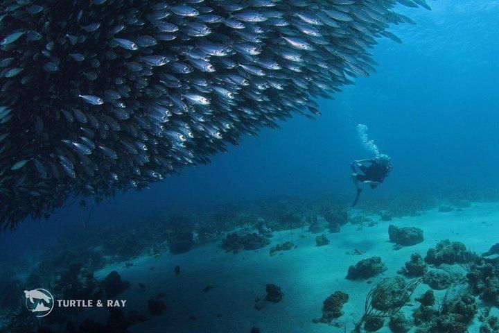 2 Tank guidad båt dykning resa till Eastpoint, Curaçao