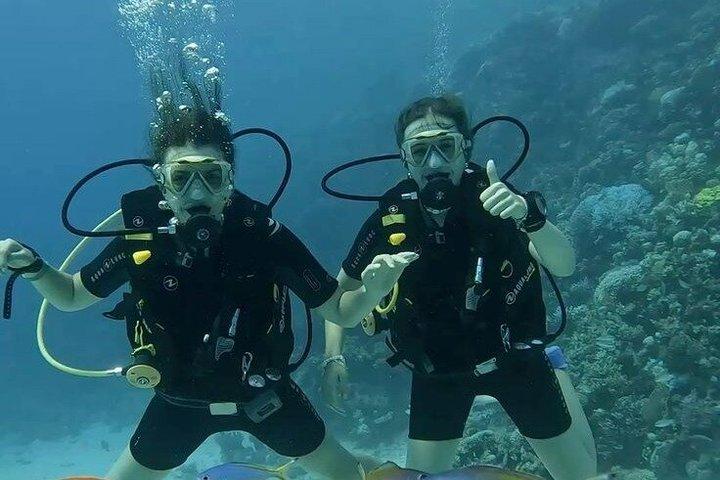 Hurghada Experiencia de Buceo con Arrecifes de Coral, Almuerzo y Traslado