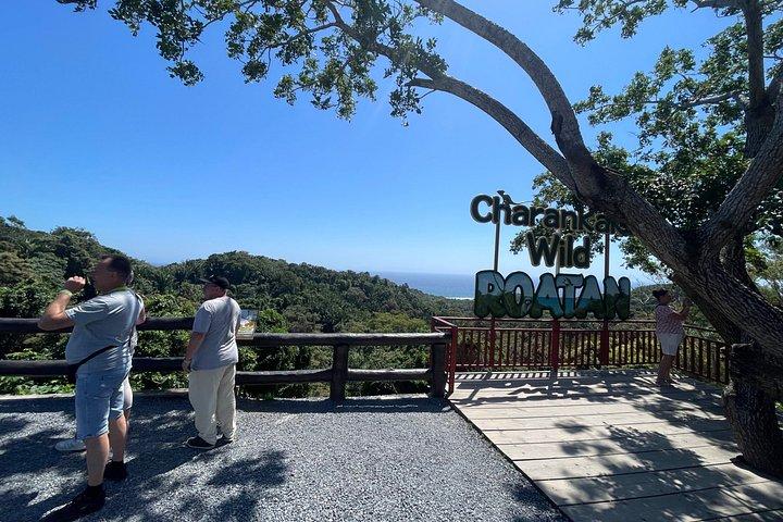 Roatan private customizable tour