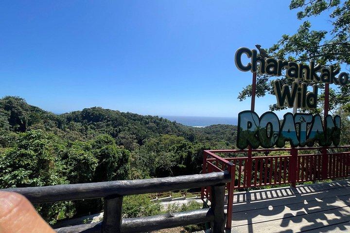Roatan private customizable tour