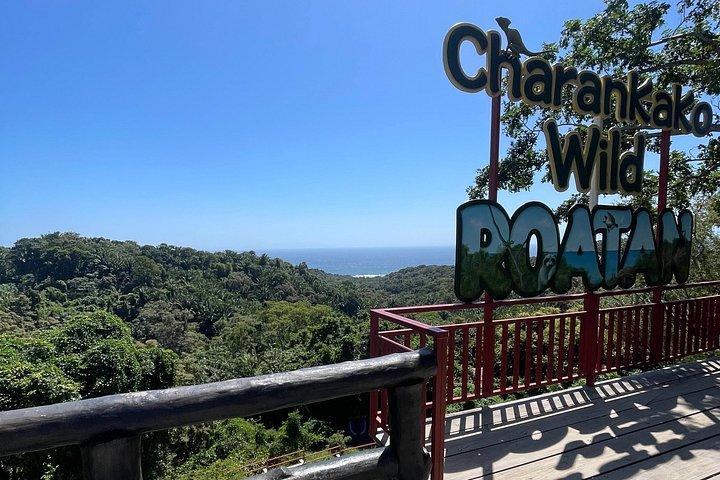 Roatan private customizable tour