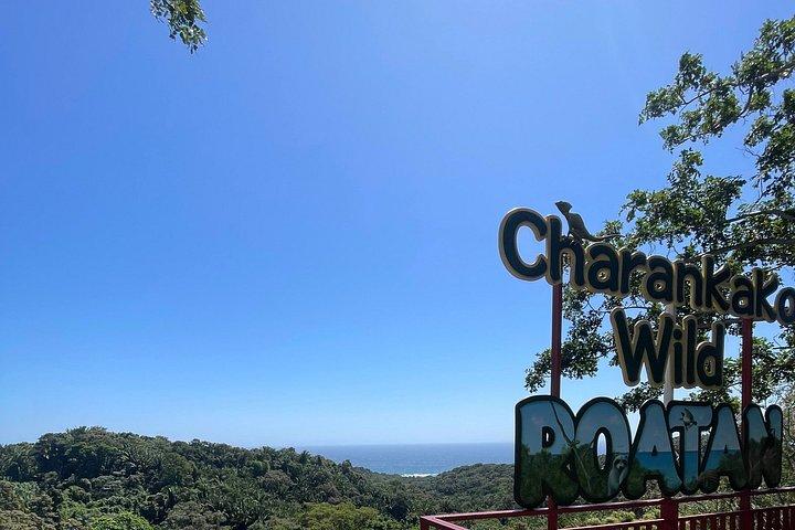 Roatan private customizable tour