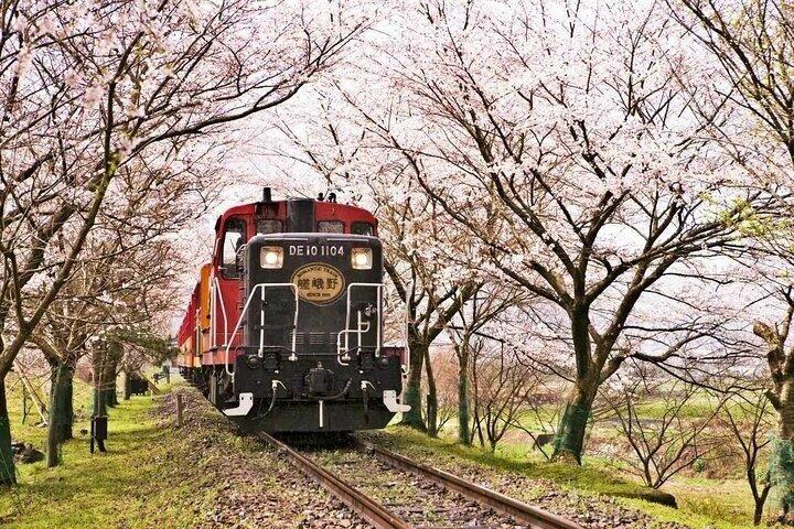 京都嵐山竹林＆三千院日帰りツアー