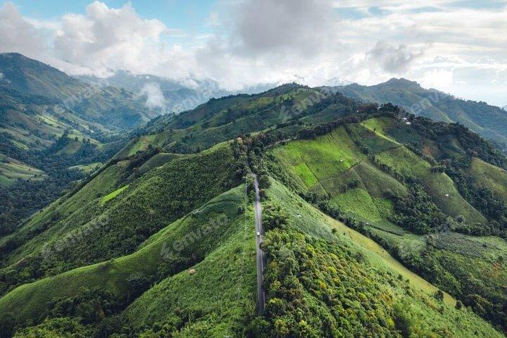 Tea Country Link : Privater Taxitransfer | Nuwara Eliya nach Ella