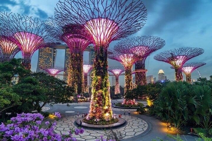 Singapore Gardens by the Bay Eintritt mit Optionen