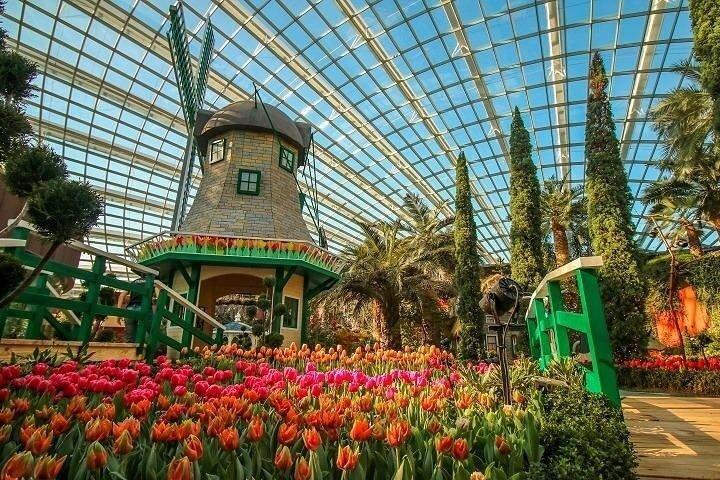 Singapore Gardens by the Bay Eintritt mit Optionen