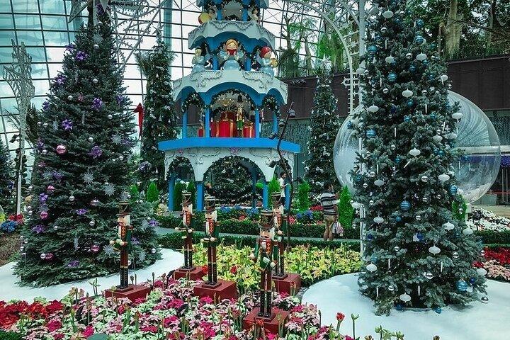 Singapore Gardens by the Bay Eintritt mit Optionen