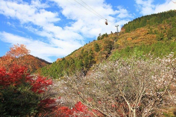 太宰府天満宮・由布院温泉・別府ロープウェイ日帰りツアー