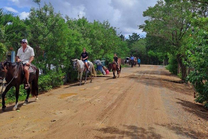 Horseback riding Lunch & Beach Day pass