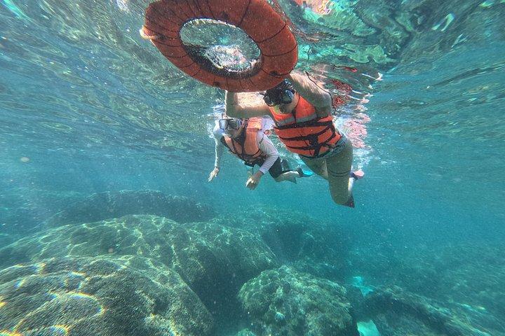 ワトゥルコの秘密のサンゴ礁でのシュノーケリングツアー