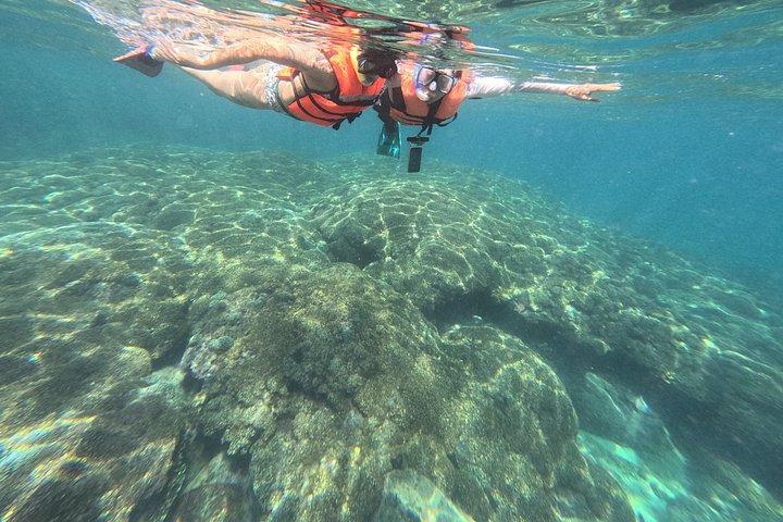 ワトゥルコの秘密のサンゴ礁でのシュノーケリングツアー