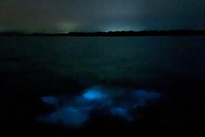 From Huatulco : Turtle release and bioluminescence