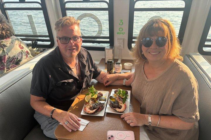 Croisière au port solaire avec musique live ! (Facultatif déjeuner/dîner)