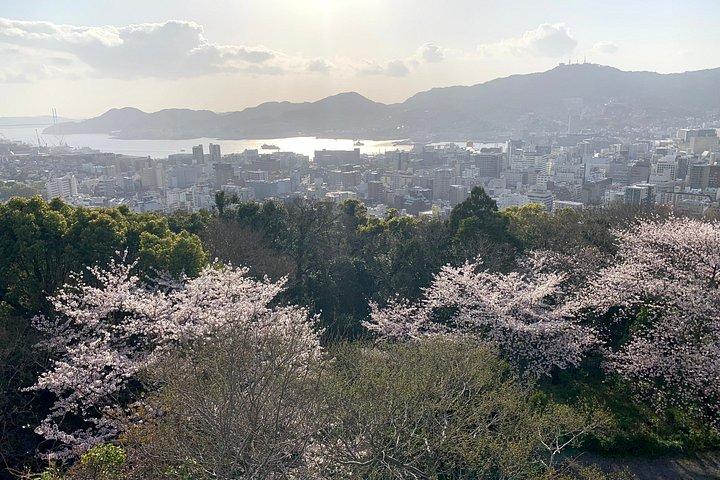 長崎プライベート半日車ツアー現地付き：柔軟な旅程