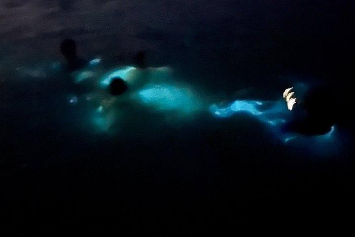 Luminous Lagoon Experience