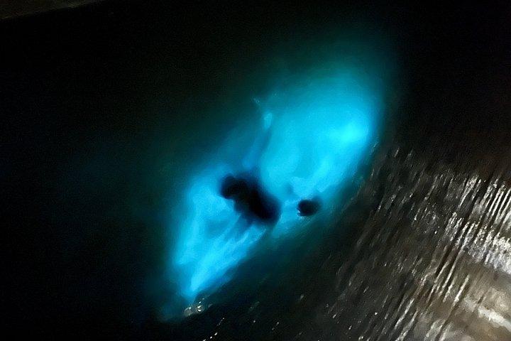 Luminous Lagoon Experience