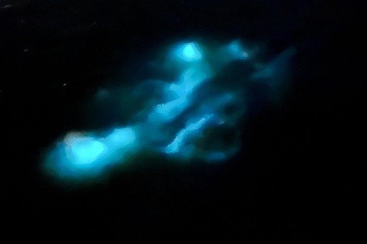 Luminous Lagoon Experience